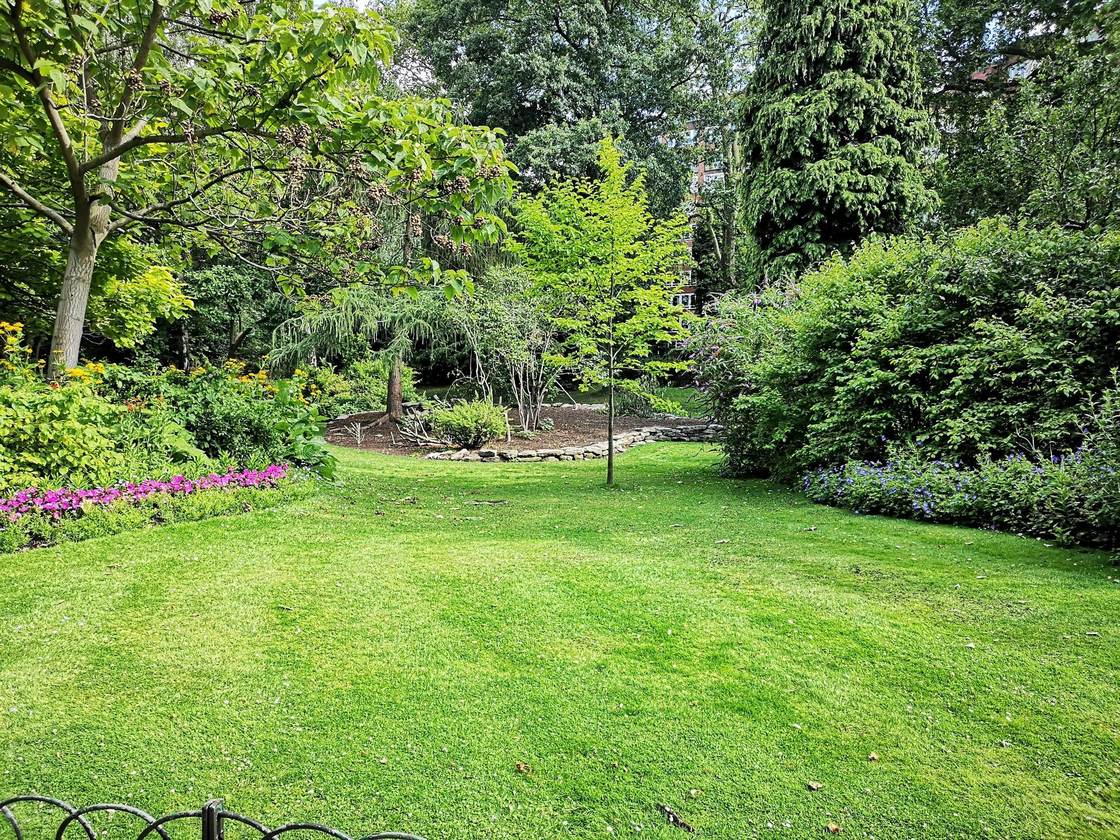 Yard Drainage Solutions for South Florida Homes